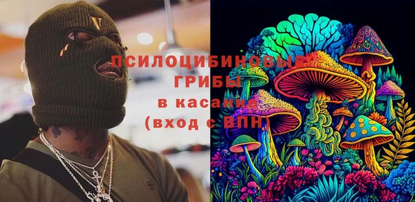 гидра Михайловка