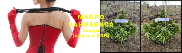 гидра Михайловск