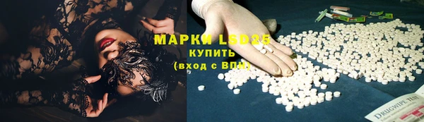 гидра Михайловка