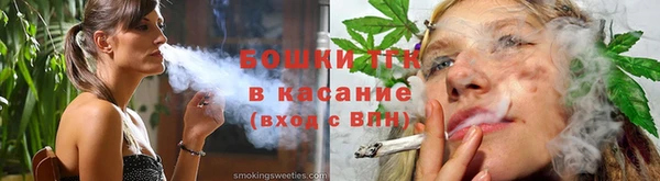 гидра Михайловка