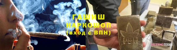 гидра Михайловка