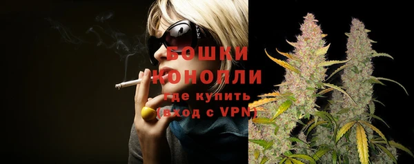 ГАЛЛЮЦИНОГЕННЫЕ ГРИБЫ Михайлов