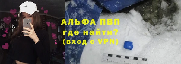 гидра Михайловка