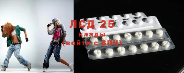 ГАЛЛЮЦИНОГЕННЫЕ ГРИБЫ Михайлов
