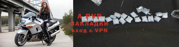 ГАЛЛЮЦИНОГЕННЫЕ ГРИБЫ Михайлов