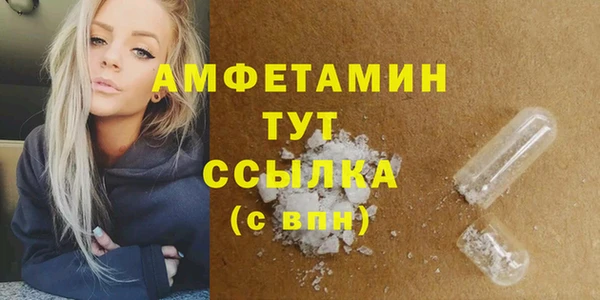 гидра Михайловка