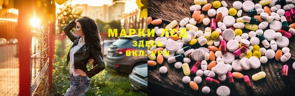 гидра Михайловка