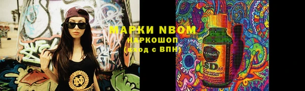 ГАЛЛЮЦИНОГЕННЫЕ ГРИБЫ Михайлов