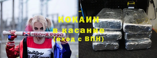 гидра Михайловка