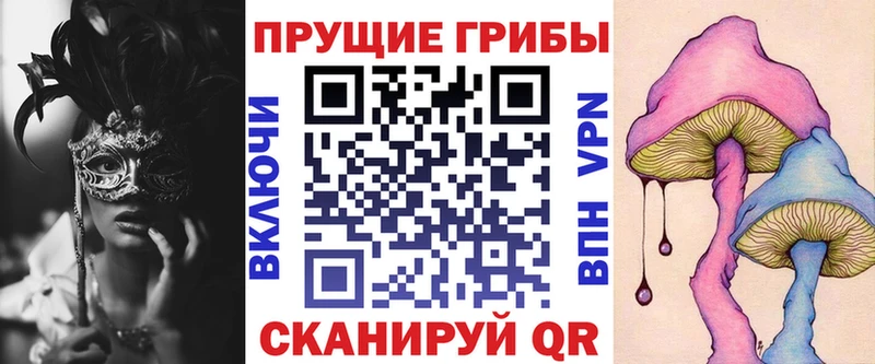 Псилоцибиновые грибы Cubensis  Купить закладки  Зеленокумск 